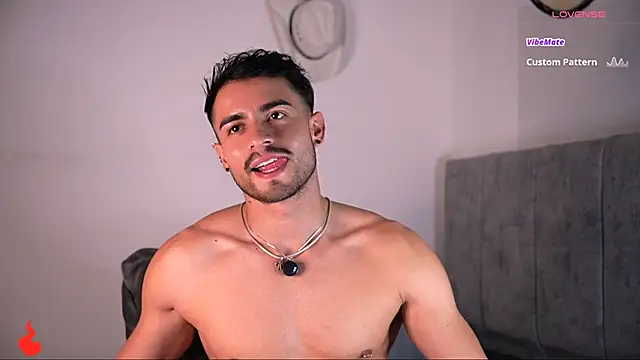 aydan_hw 网络视讯表演