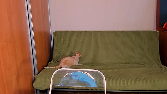 Chat XXX ao vivo de just_fucked777