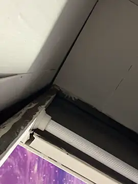 Daphnne_XXX 웹캠 쇼