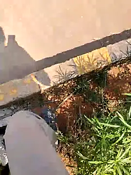 Rahul_India – Kamerová šou