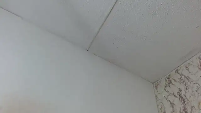 AlexaFontana Live XXX-Chat