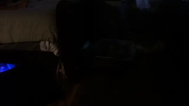 flexingplexico Pertunjukan Webcam