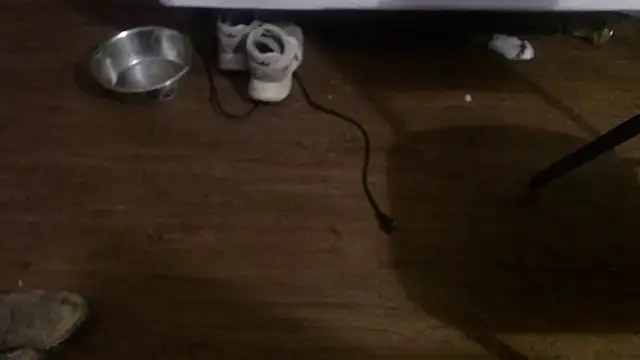 Show de Jorybox na webcam