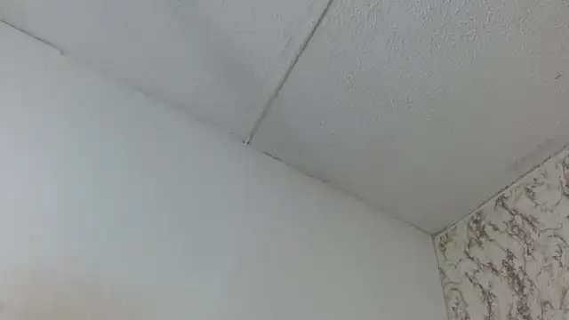 AlexaFontana Obrolan Langsung XXX