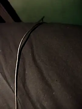 XXX chat uživo modela matakais