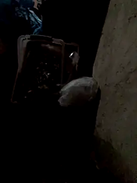 TattyFoxglove 网络视讯表演