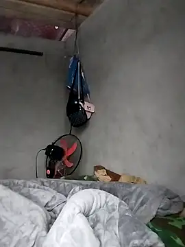 Hoa-tuylip Pertunjukan Webcam