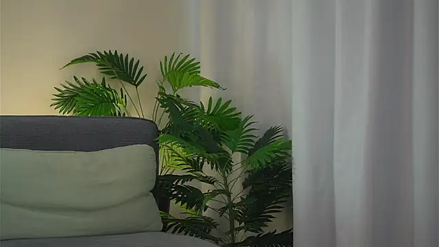 Czat XXX na żywo – akumadadrive