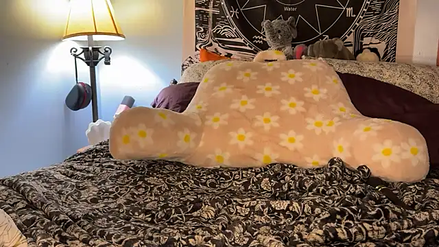 Show modela mysunidreamss na web-kameri