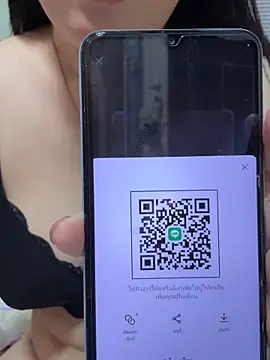 Nancymodel Show Webcam