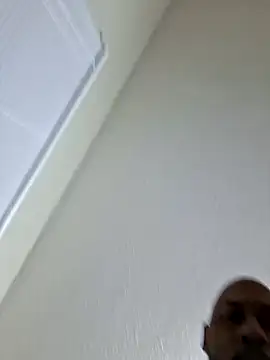 BlackDynasty67 Pertunjukan Webcam