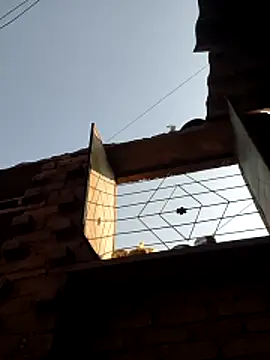 Show Webcam de Co_punam