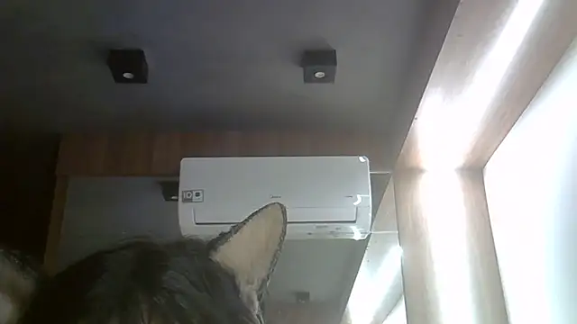 SkinnyKittenn Live XXX chat