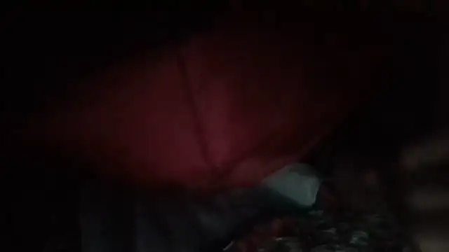 81grandplusthis Webcam-Show