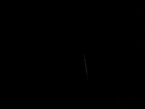 rodovlaz élő XXX-chatje