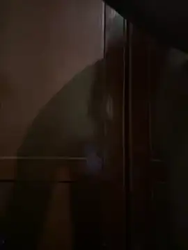 Show Webcam de BBC_model20