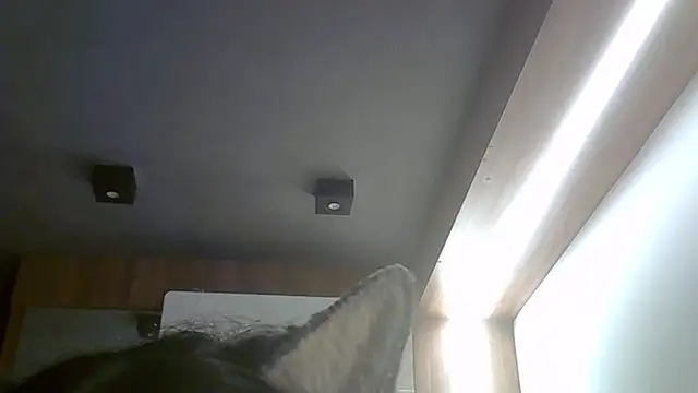 SkinnyKitten Obrolan Langsung XXX