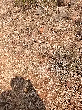 Tamilpaiyan07n Live XXX chat