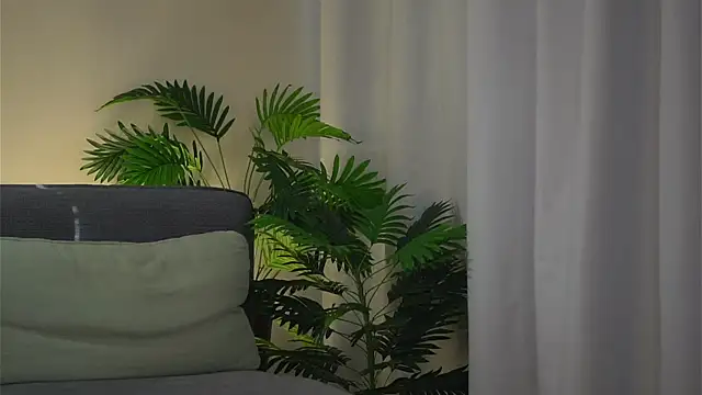 akumadadrive Obrolan Langsung XXX