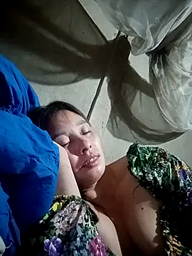 kaia-cam 网络视讯表演