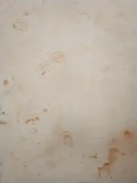 Sapna_baby1 – webcam-show