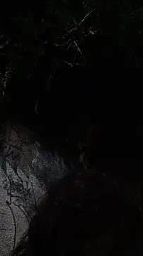 Maricamposs 웹캠 쇼