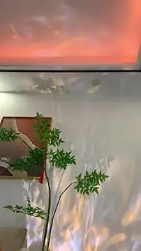 zhizhinaigai – Naživo XXX chat