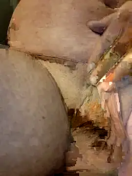 funsexgames Live XXX-chat