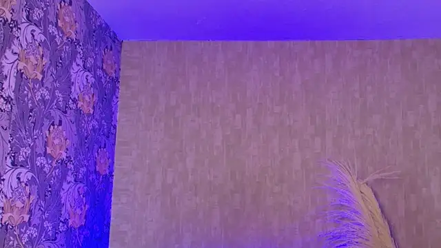 عرض كام pixy_20