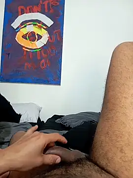 prototipoA45 웹캠 쇼