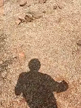 Tamilpaiyan07's Live XXX Chat