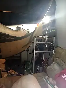 Genesis3011 Live XXX-chat