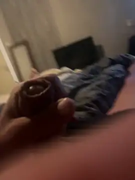 alfarolemmern Webbikameraesitys