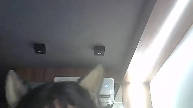 SkinnyKitten 라이브 XXX 채팅