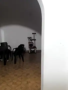 Chat XXX en directo de Derek_Vow