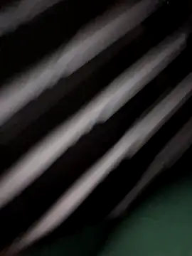 Show Webcam de Zander823