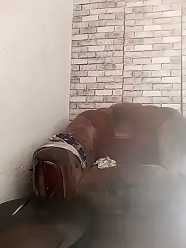 Cerd_Ayaz – Naživo XXX chat