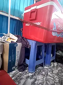 Cindy237st Show Webcam