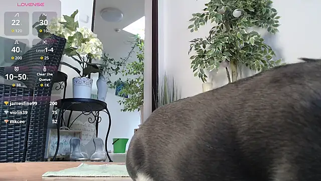 Webkamerová show Squirtmania