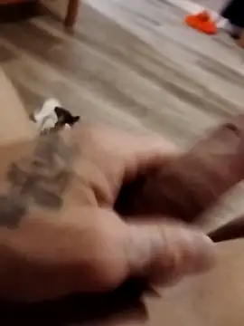 hugenicecock7979 Obrolan Langsung XXX