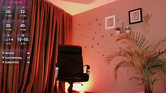 Breidyhard webcam show