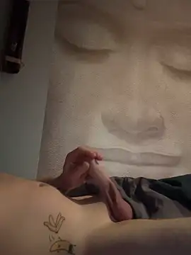 Show webcam de Flash0910