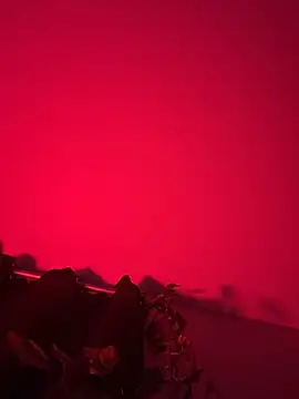 Jaybraconect 网络视讯表演