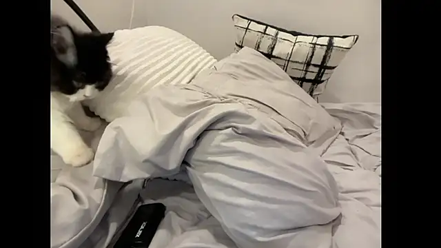 Candice_sultryx Live XXX-chat