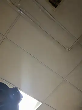 ProveYourLoyalty2 webkamerás műsora