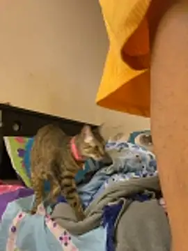 Chat +18 de AlexaWarner ao vivo