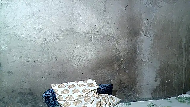 xwindyxxx Pertunjukan Webcam