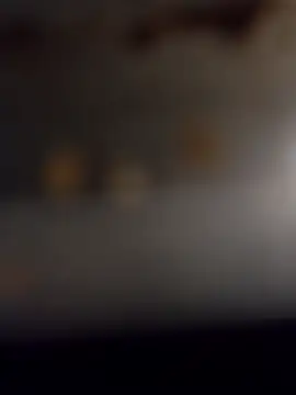 Boy_maroc_20n Live XXX chat