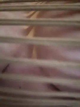 didihairypussy 现场XXX聊天