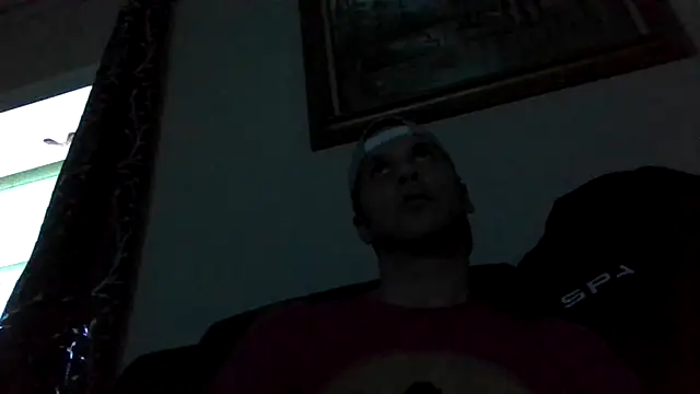 dik4cache Show in webcam